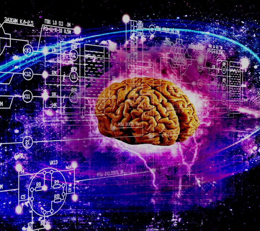Space brain. science